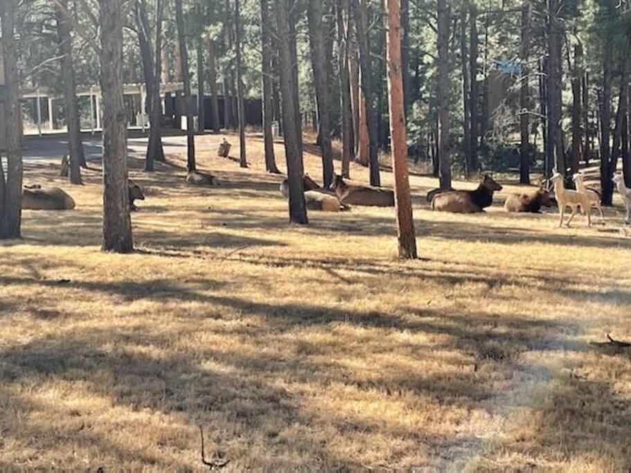Perk Canyon Hidden Acres-Hot Tub-Gas Fireplace รุยโดโซ ภายนอก รูปภาพ